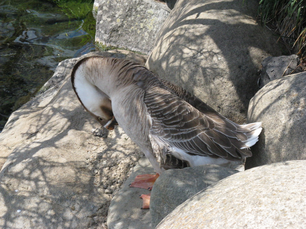 f:id:takerunba:20090420125425j:image:w500