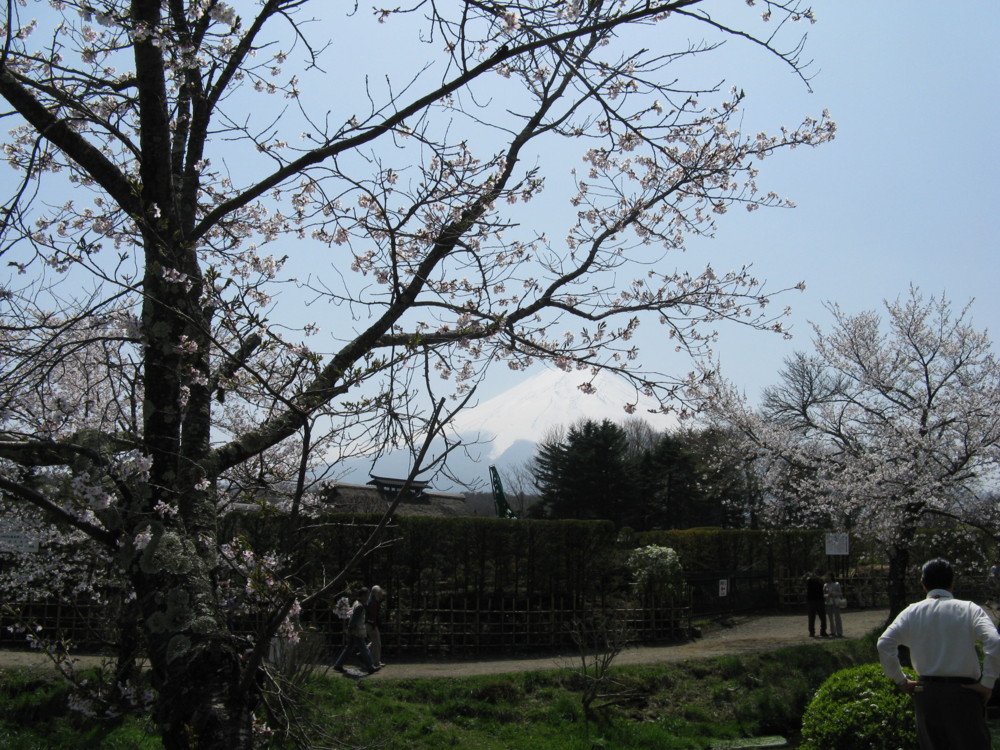 f:id:takerunba:20090420125643j:image:w500