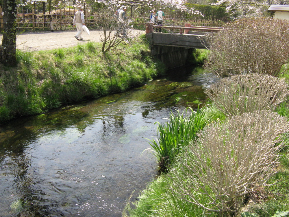 f:id:takerunba:20090420125702j:image:w500