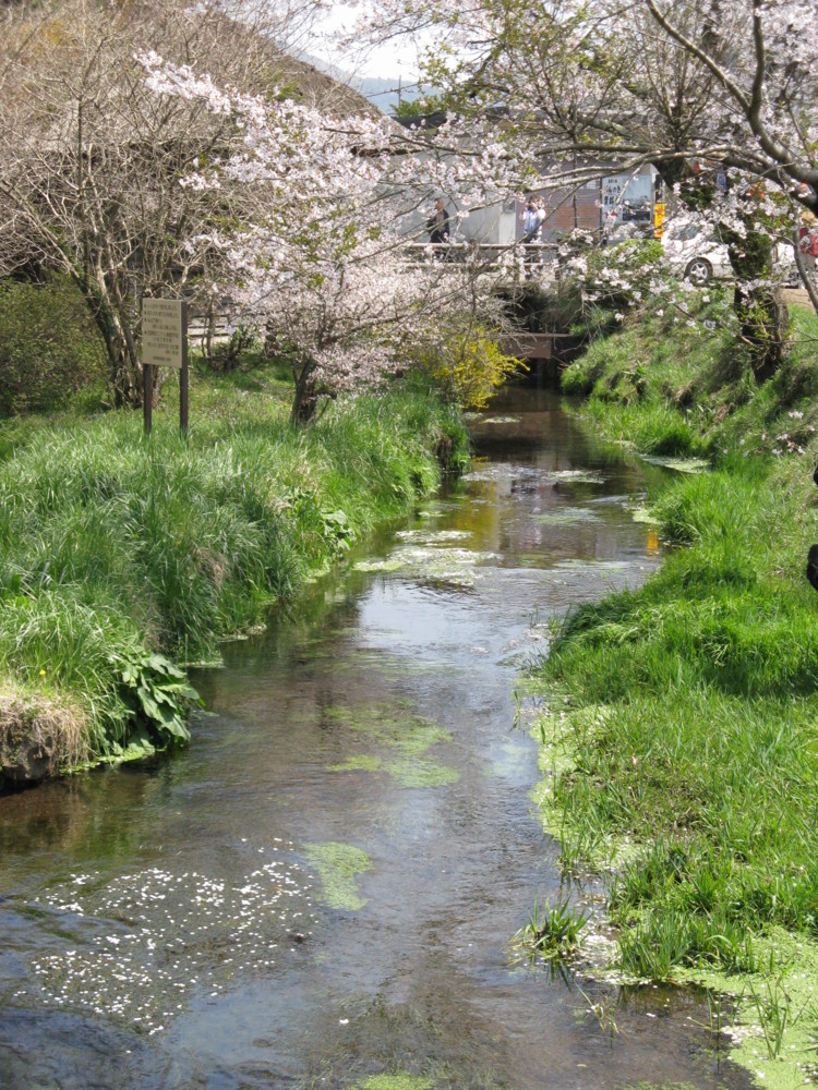f:id:takerunba:20090420125713j:image:h500