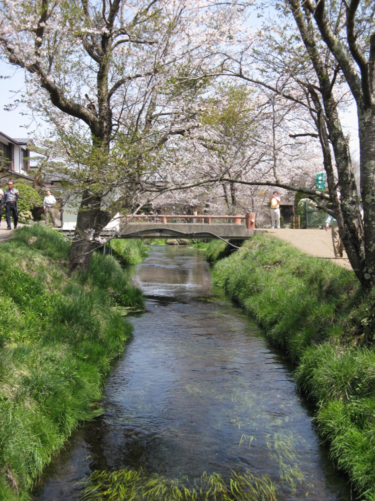 f:id:takerunba:20090420125811j:image:h500