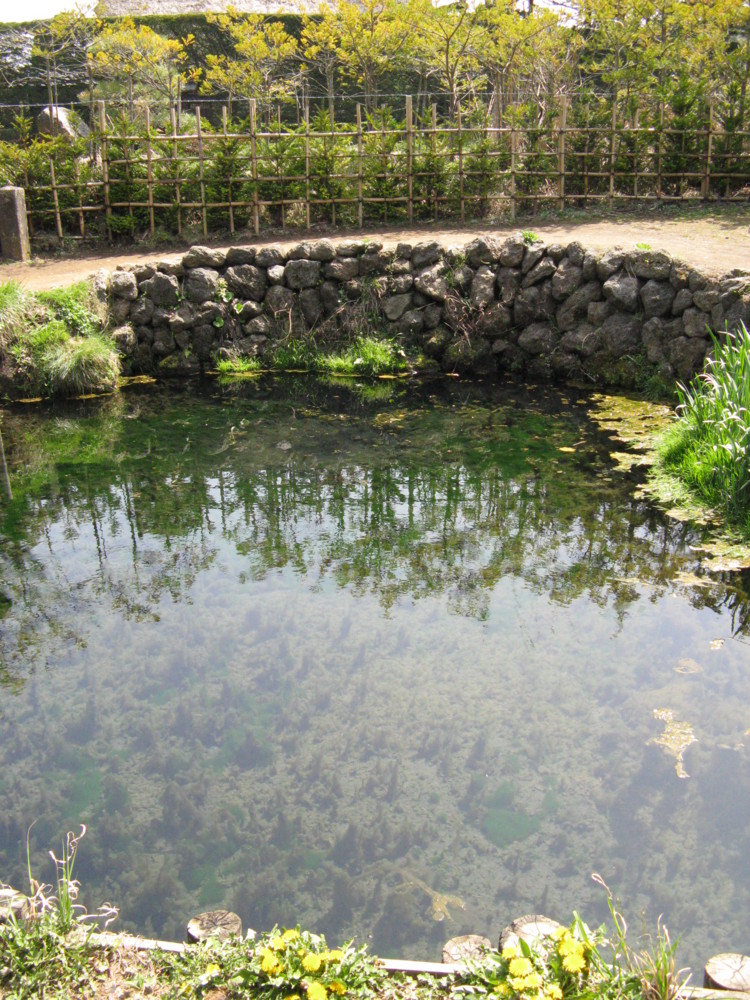 f:id:takerunba:20090420125906j:image:h500