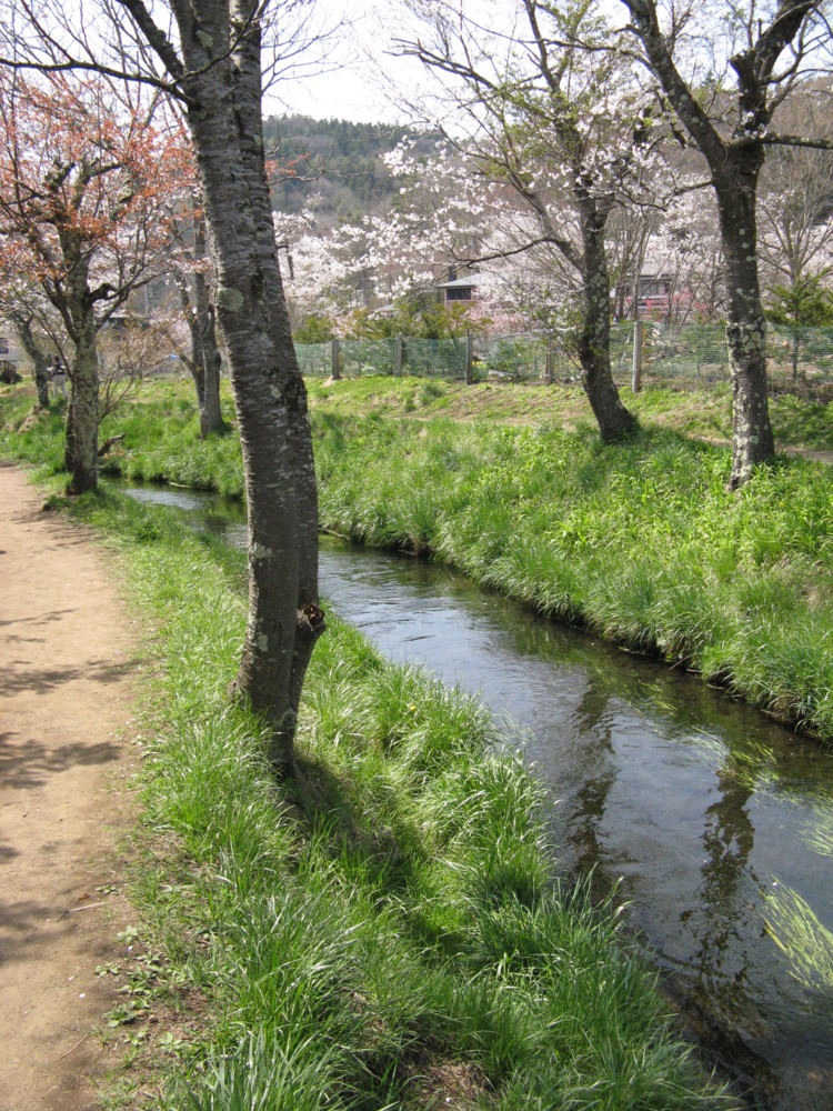 f:id:takerunba:20090420130036j:image:h500