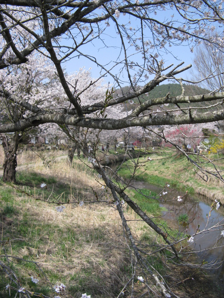 f:id:takerunba:20090420130203j:image:h500