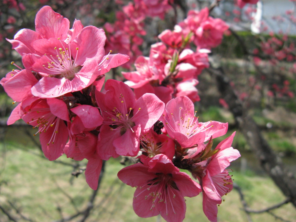 f:id:takerunba:20090420130520j:image:w500