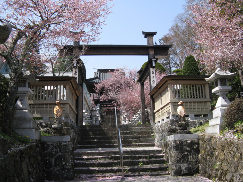 f:id:takerunba:20090420131239j:image:w500