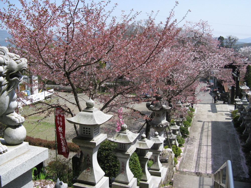 f:id:takerunba:20090420131405j:image:w500