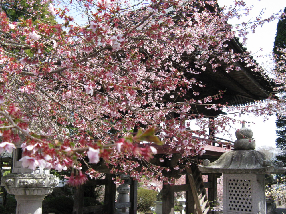 f:id:takerunba:20090420131444j:image:w500