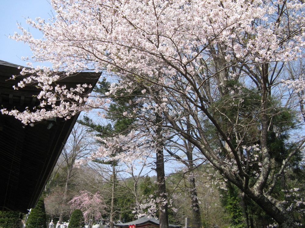 f:id:takerunba:20090420131521j:image:w500