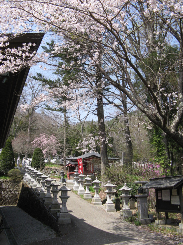 f:id:takerunba:20090420131528j:image:h500