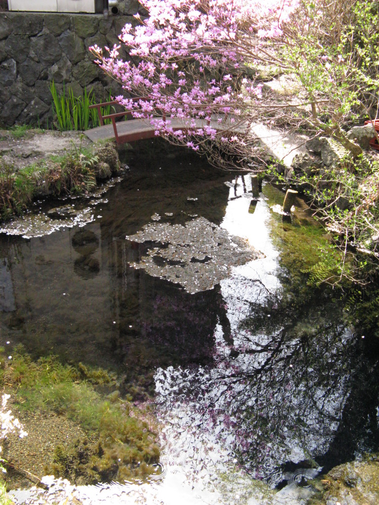f:id:takerunba:20090420133055j:image:h500