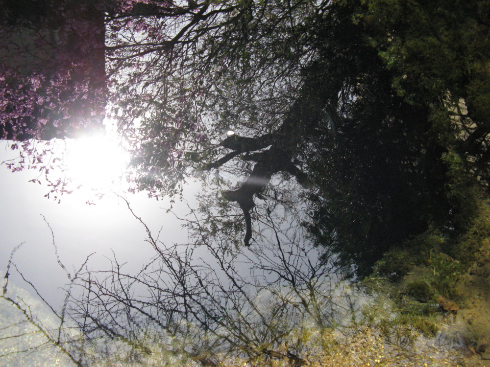 f:id:takerunba:20090420133104j:image:w500