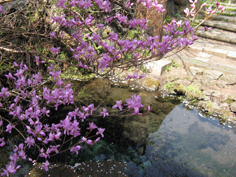 f:id:takerunba:20090420133147j:image:w500