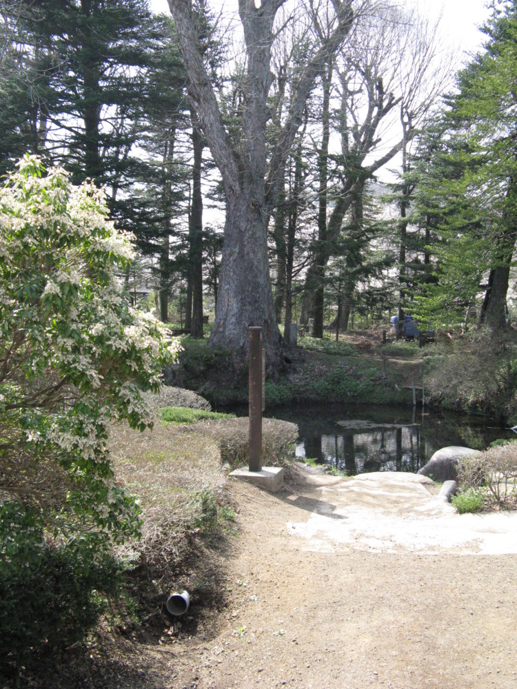 f:id:takerunba:20090420135724j:image:h500
