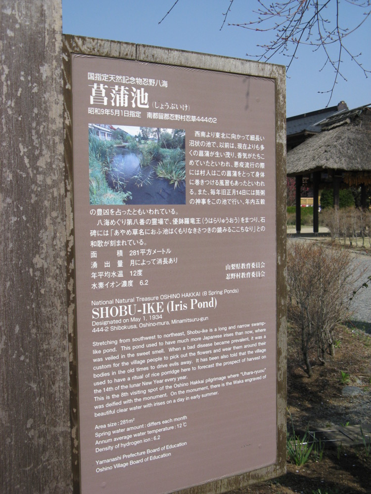 f:id:takerunba:20090420140940j:image:h500