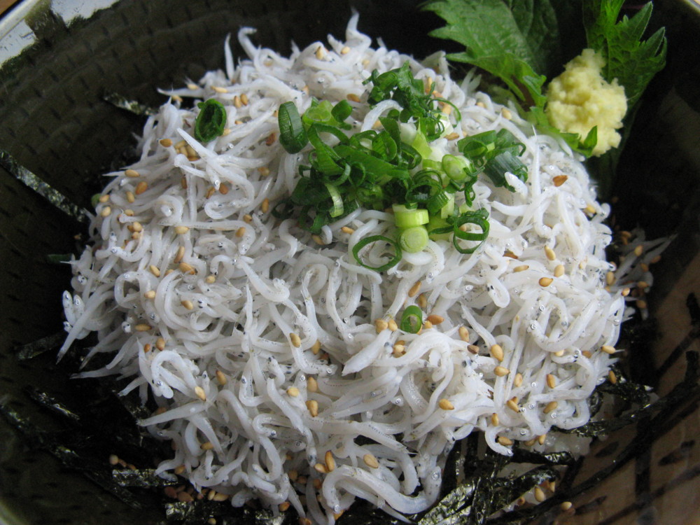 f:id:takerunba:20090427121148j:image:w500