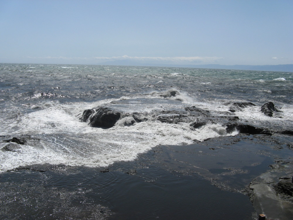 f:id:takerunba:20090427124128j:image:w500