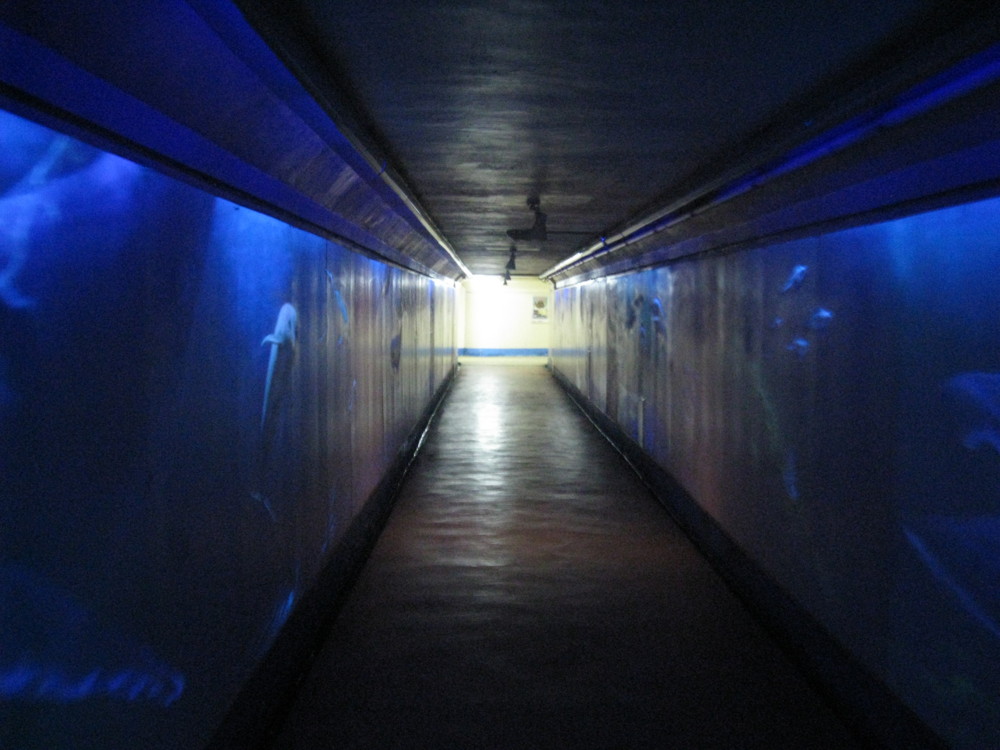 f:id:takerunba:20090427133828j:image:w500