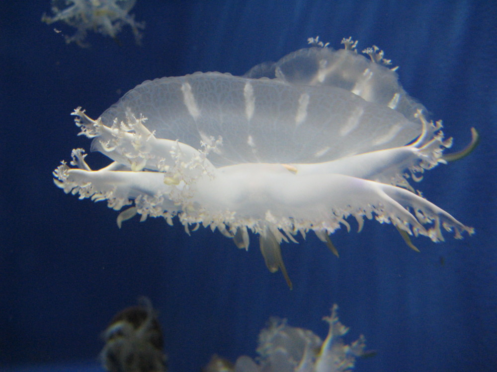 f:id:takerunba:20090427143627j:image:w500