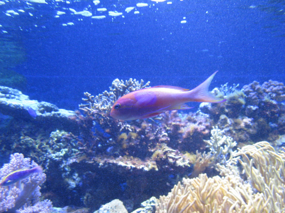 f:id:takerunba:20090427145039j:image:w500