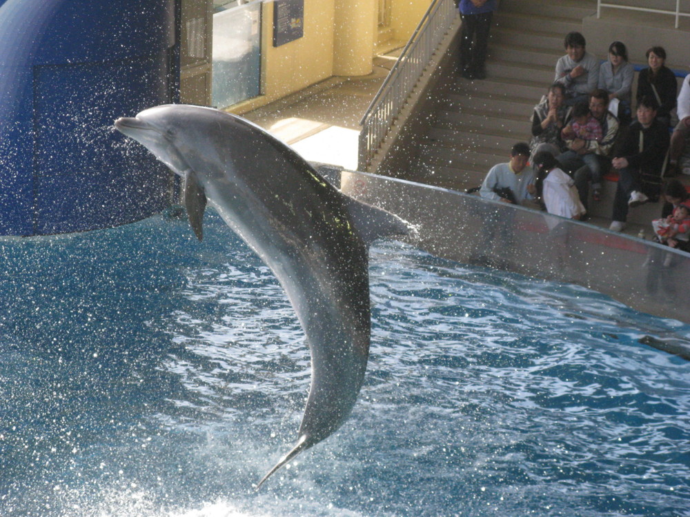 f:id:takerunba:20090427151130j:image:w500