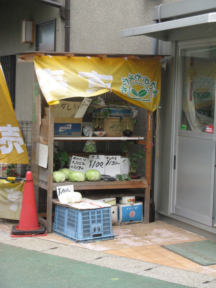 f:id:takerunba:20090611143450j:image:h300