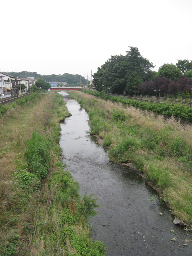 f:id:takerunba:20090611143936j:image:h300