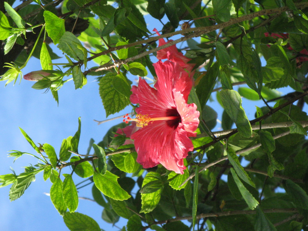 f:id:takerunba:20090629171547j:image:w500 f:id:takerunba:20090629171547j:image:w500