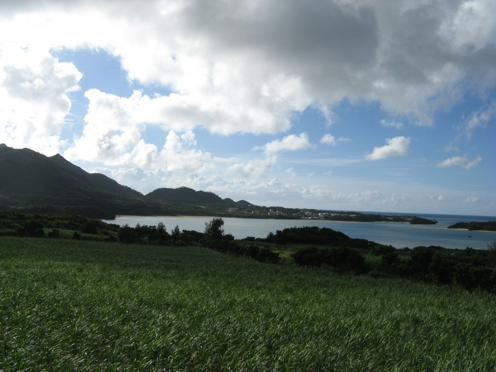 f:id:takerunba:20090629173229j:image:w500 f:id:takerunba:20090629173229j:image:w500