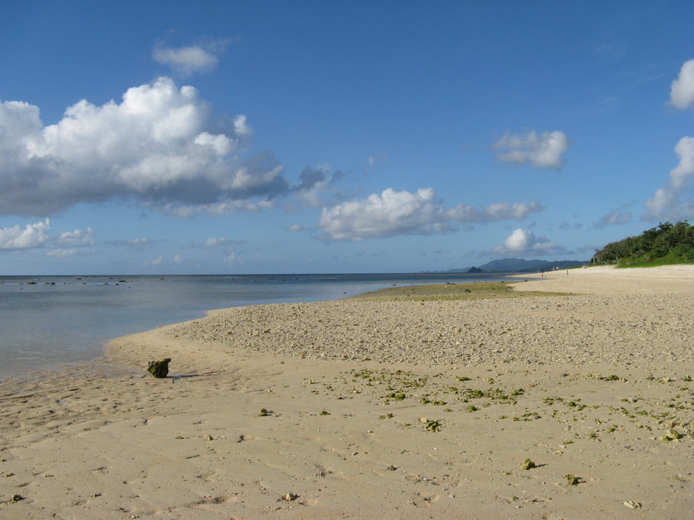 f:id:takerunba:20090629174801j:image:w500 f:id:takerunba:20090629174801j:image:w500