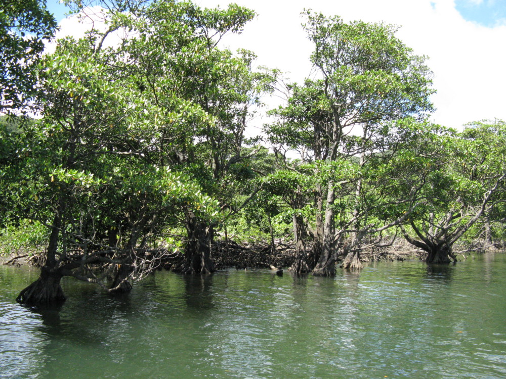 f:id:takerunba:20090630102612j:image:w500 f:id:takerunba:20090630102612j:image:w500