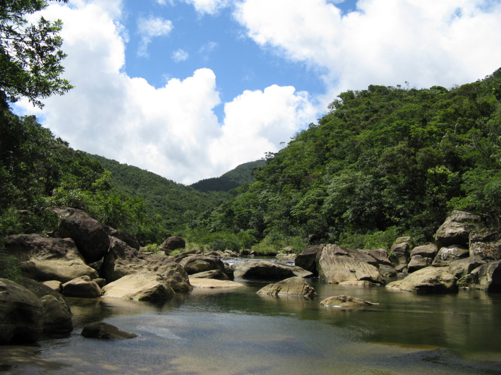 f:id:takerunba:20090630105137j:image:w500 f:id:takerunba:20090630105137j:image:w500