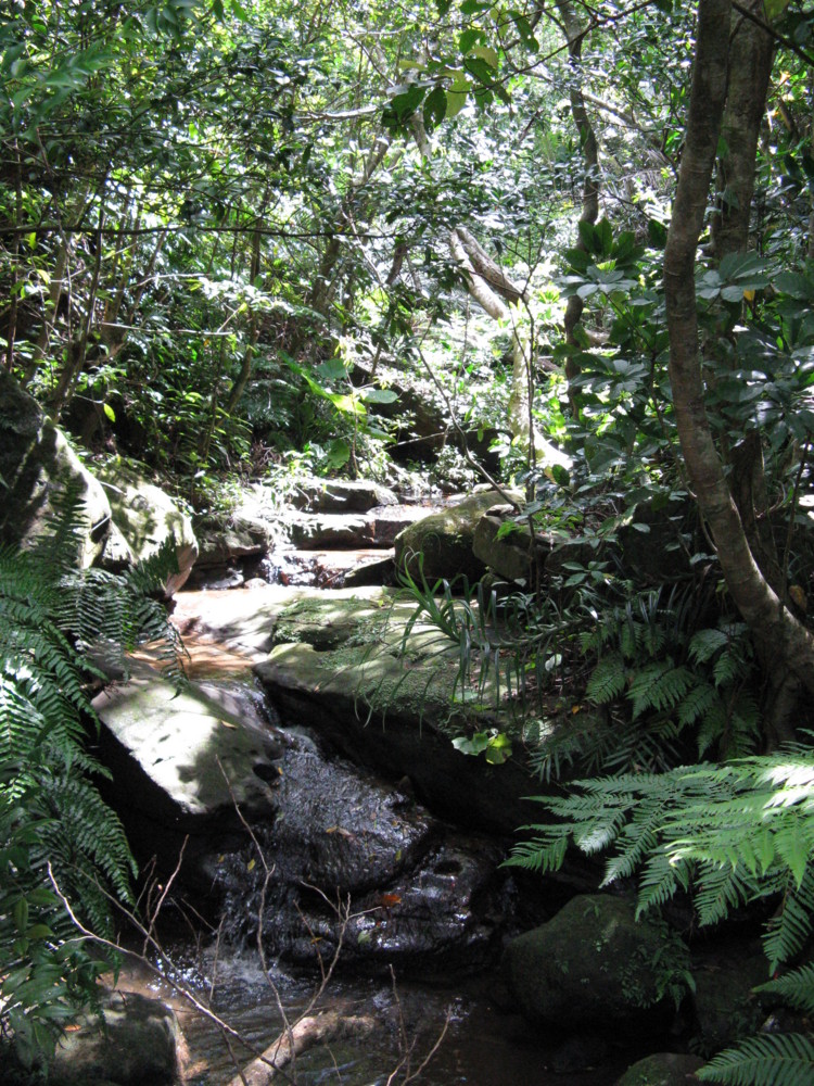 f:id:takerunba:20090630105310j:image:h500 f:id:takerunba:20090630105310j:image:h500