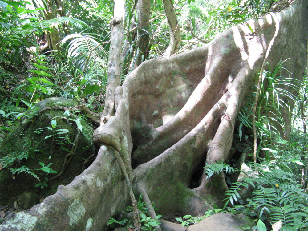 f:id:takerunba:20090630111129j:image:w500 f:id:takerunba:20090630111129j:image:w500