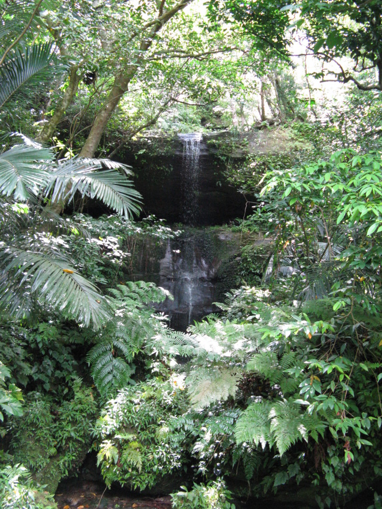 f:id:takerunba:20090630111218j:image:h500 f:id:takerunba:20090630111218j:image:h500