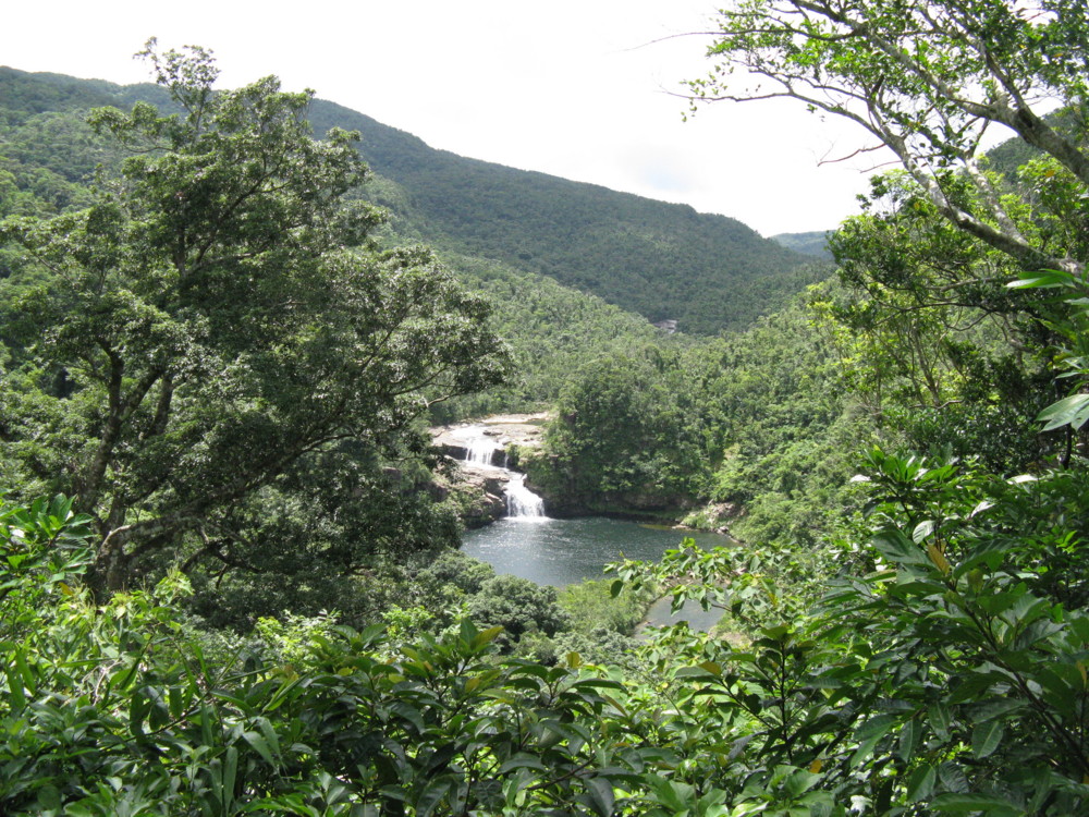 f:id:takerunba:20090630112059j:image:w500 f:id:takerunba:20090630112059j:image:w500