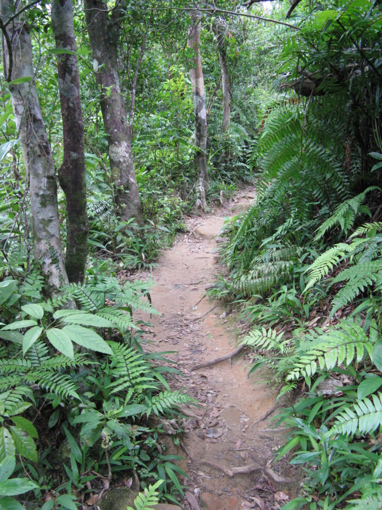 f:id:takerunba:20090630113817j:image:h500 f:id:takerunba:20090630113817j:image:h500