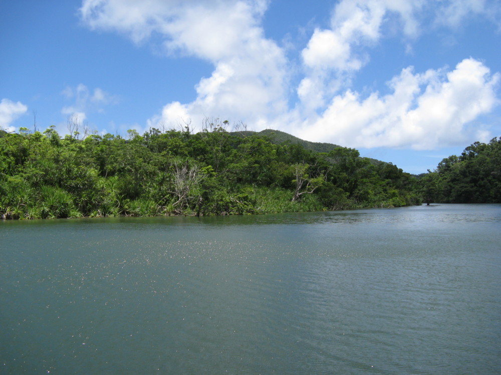 f:id:takerunba:20090630123918j:image:w500 f:id:takerunba:20090630123918j:image:w500