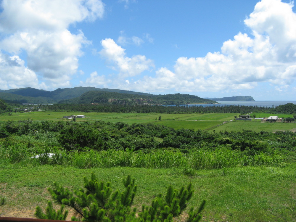 f:id:takerunba:20090630142337j:image:w500 f:id:takerunba:20090630142337j:image:w500