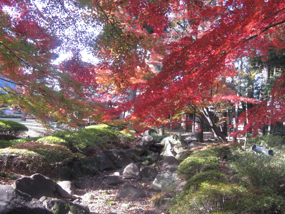 f:id:takerunba:20091203102909j:image:w500