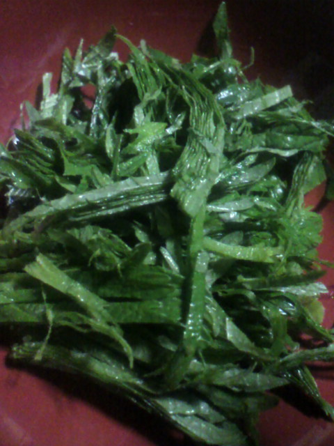 f:id:takerunba:20091223132624j:image:h500
