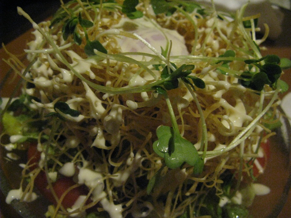 f:id:takerunba:20100321190644j:image:w500 f:id:takerunba:20100321190644j:image:w500