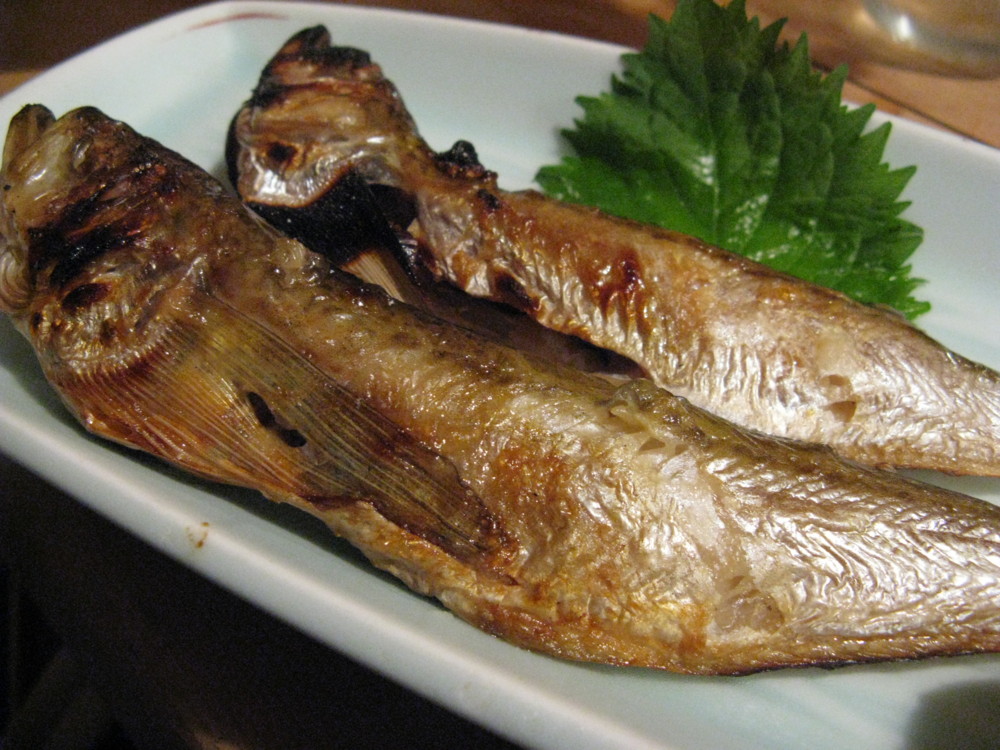 f:id:takerunba:20101206193600j:image:w500 f:id:takerunba:20101206193600j:image:w500