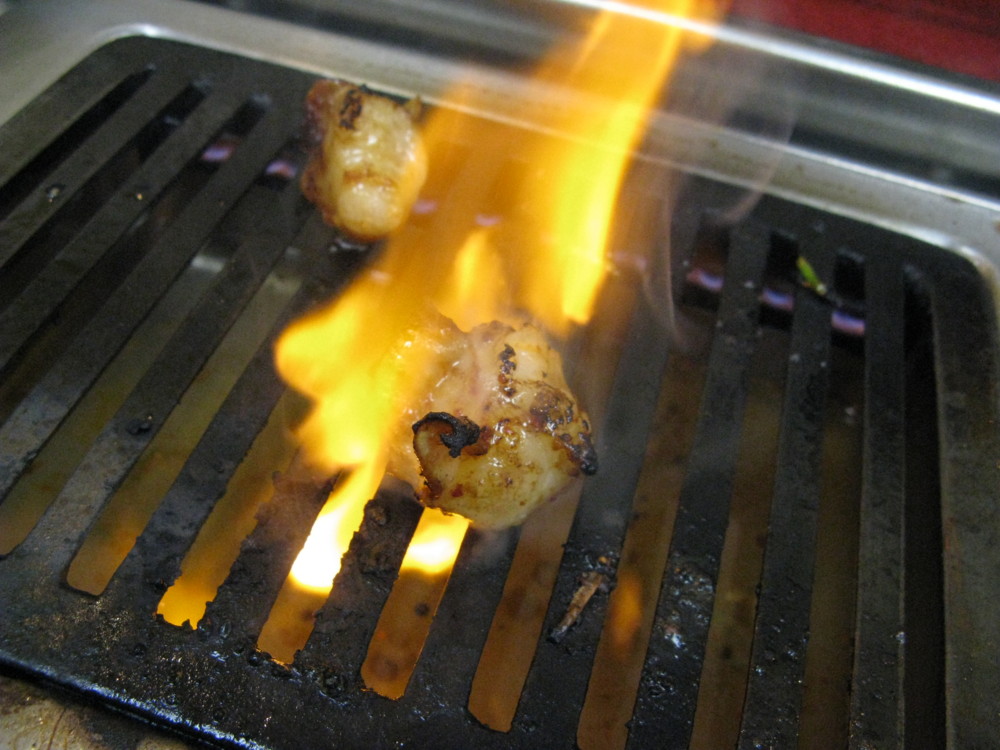 f:id:takerunba:20110308184512j:image:w500