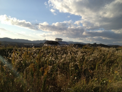 f:id:takerunba:20121024154002j:image