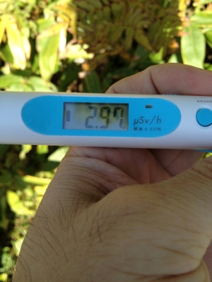 f:id:takerunba:20121029115451j:image:h300