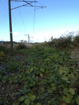 f:id:takerunba:20121031041414j:image