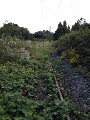 f:id:takerunba:20121031041415j:image