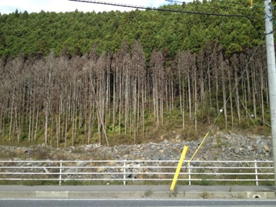 f:id:takerunba:20121102081216j:image