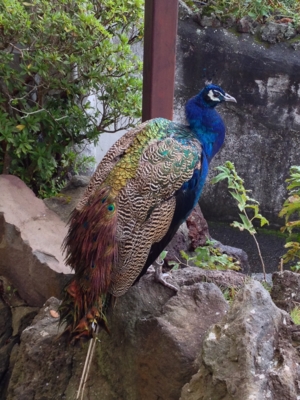 f:id:takerunba:20131022100948j:image f:id:takerunba:20131022100948j:image